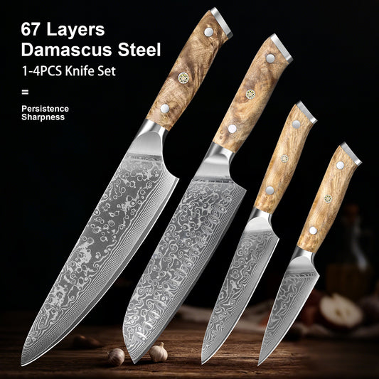 JAPAN Kiritsuke Chef Knife Set