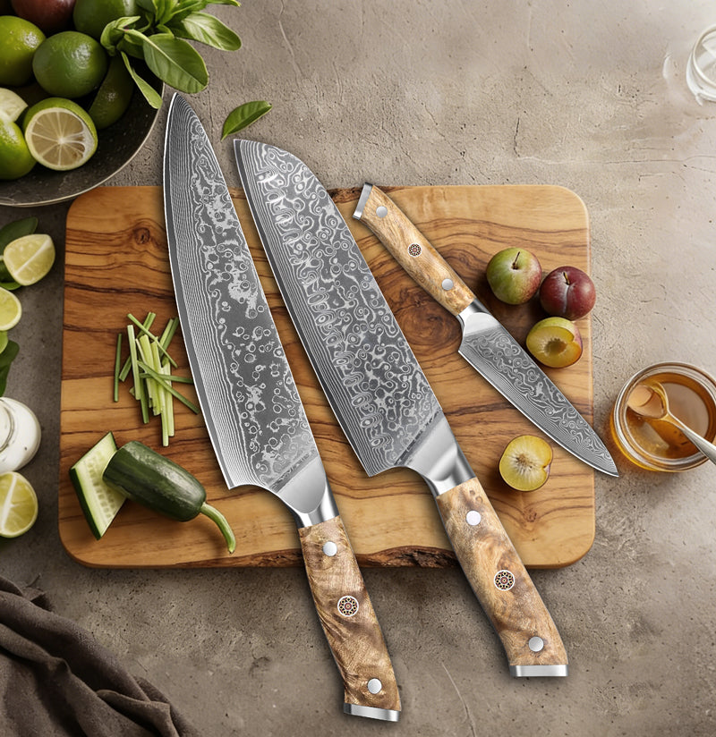 JAPAN Kiritsuke Chef Knife Set