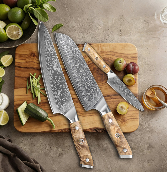 JAPAN Kiritsuke Chef Knife Set