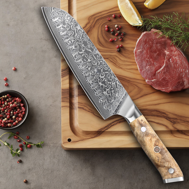 JAPAN Kiritsuke Chef Knife Set