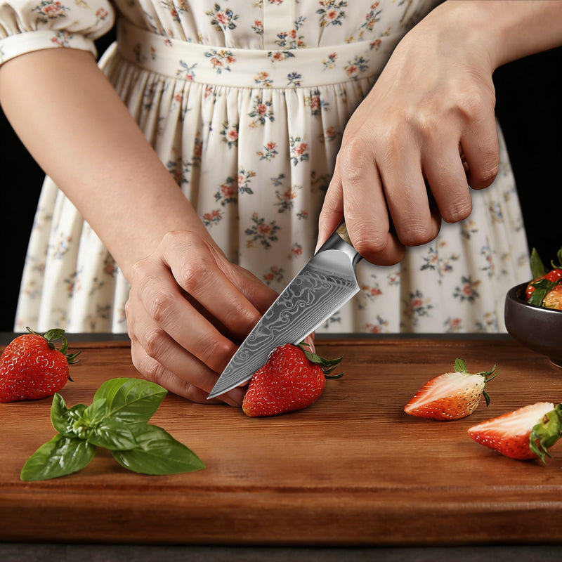 JAPAN Kiritsuke Chef Knife Set